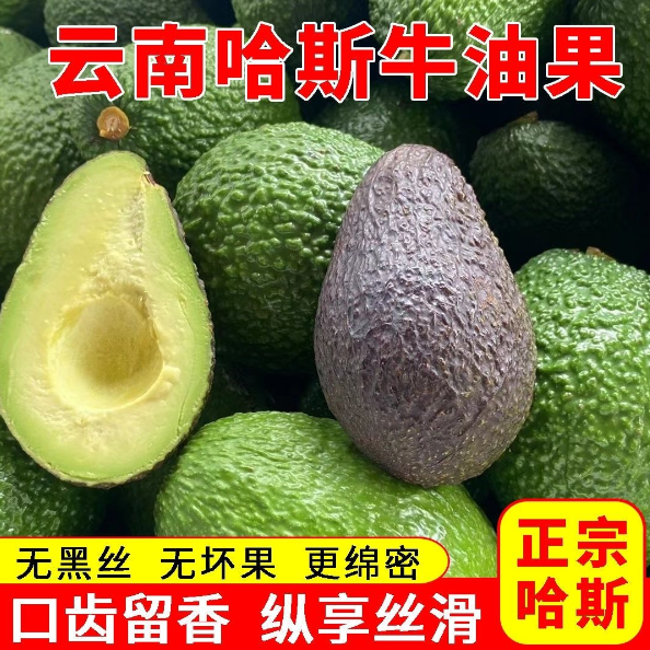 牛油果进口水果新鲜大果墨西哥鳄梨孕妇宝宝营养辅食应季水果