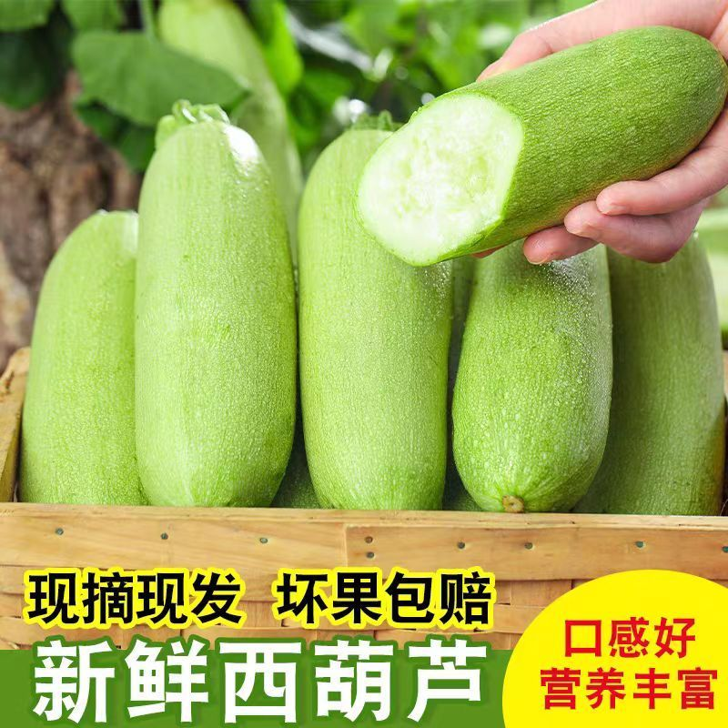 西葫芦新鲜云南露天种植白角瓜新鲜专用绿色脆嫩食用农家小瓜...