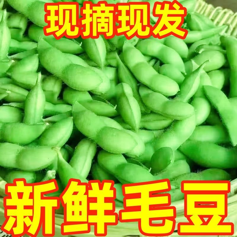 江西带壳毛豆新鲜现摘便宜蔬菜黄豆荚子一整箱青大豆农家自种...