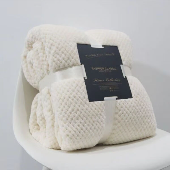 四季加厚毛绒床单办公室午睡沙发空调毛毯菠萝格毛巾毯双面绒...